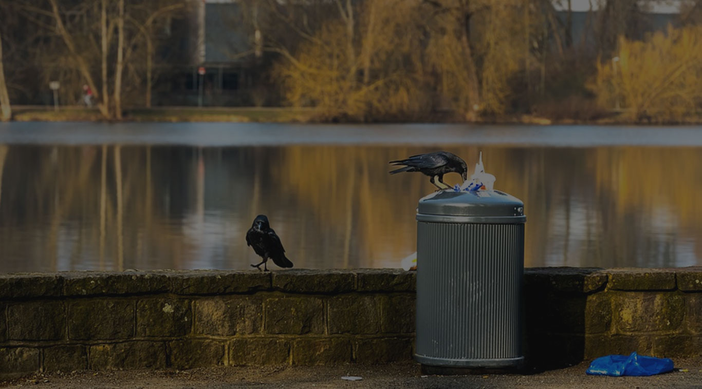 Southern Highlands Rubbish Services