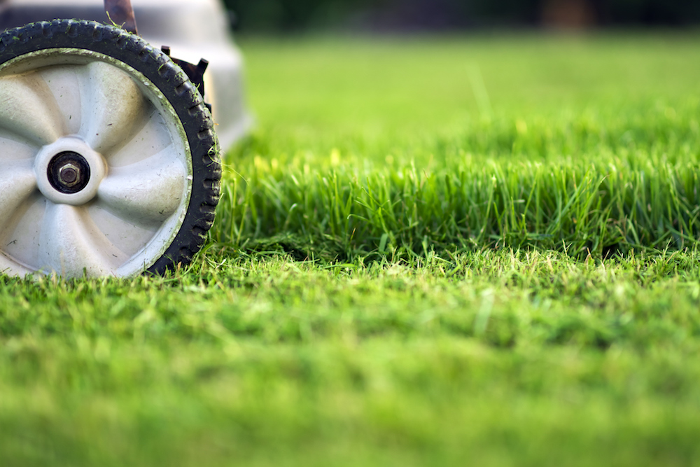 Southern Highlands Rubbish Services