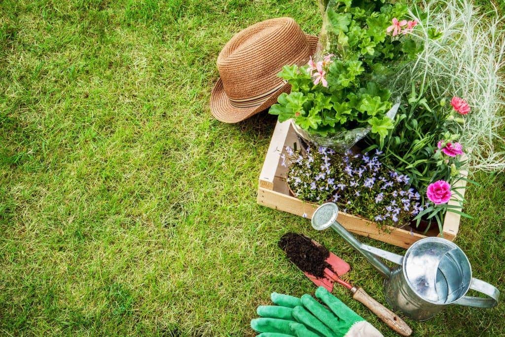 Southern Highlands Rubbish Services