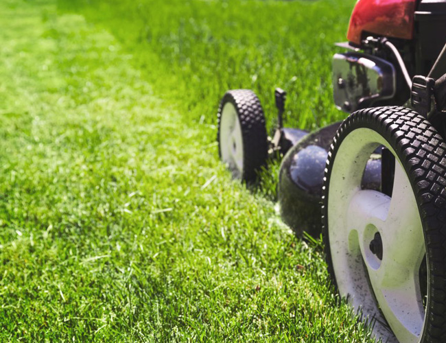 Southern Highlands Rubbish Services